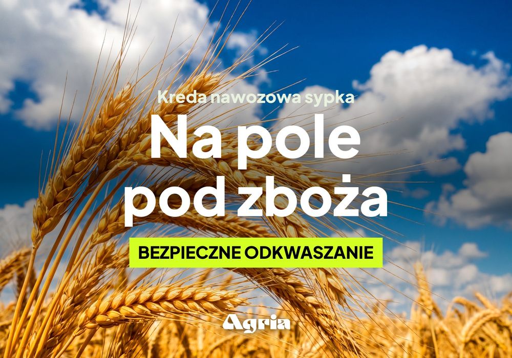 Kreda nawozowa luzem pod zboża — wapno nawozowe węglanowe sypkie, łagodne odkwaszanie bez ryzyka przewapnowania, dostawa 24 t, atest OSChR
