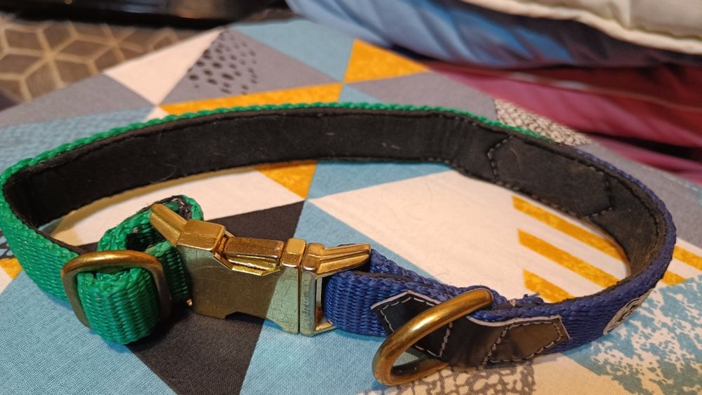 Obroża półzaciskowa 2,5 cm Wild Woof