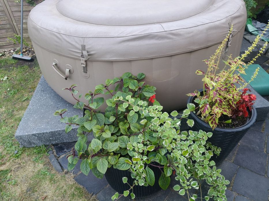 Intex pokrywa jacuzzi