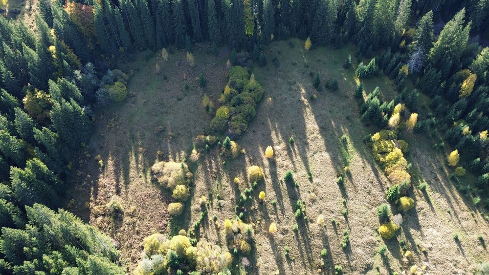 Земля під будову, межує з лісом, гарний доїзд