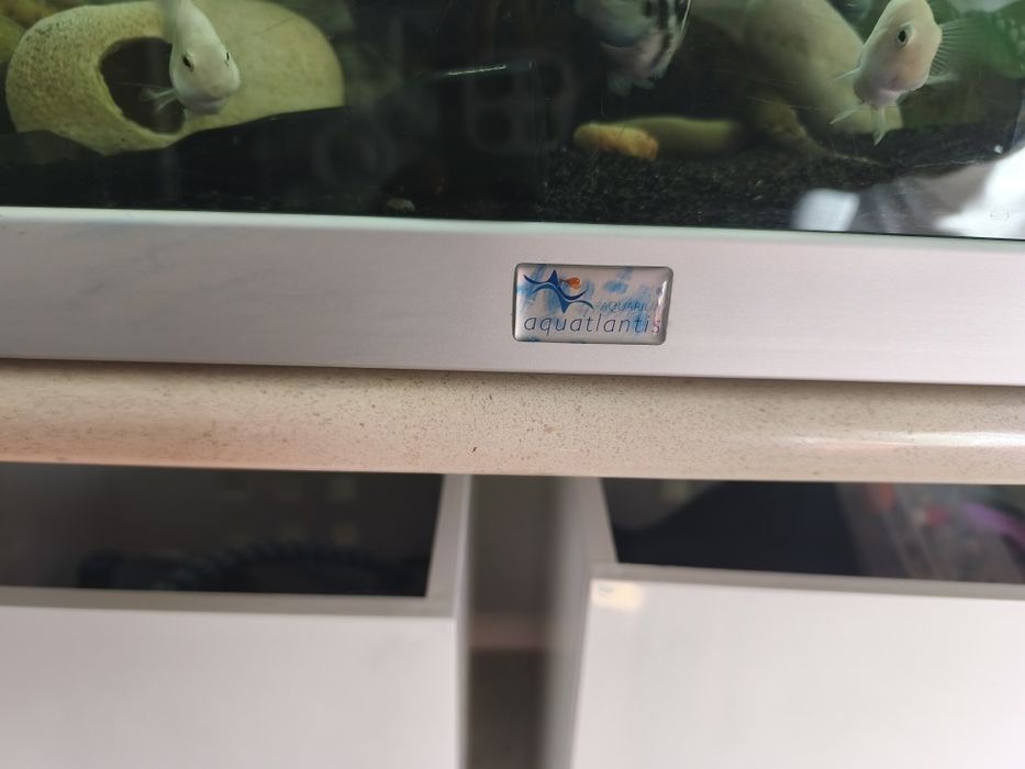 Vendo aquário aquaatlantis de 200 litros( ou troco por aves do meu interesse)
