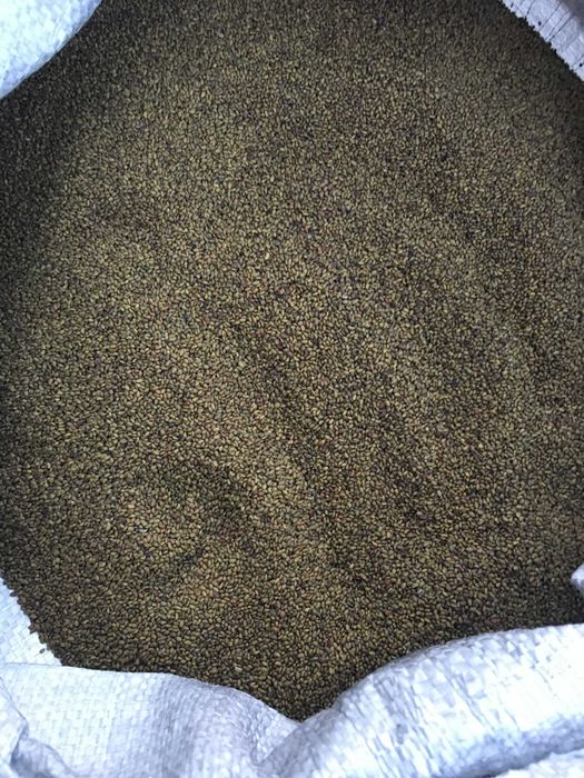 Продам насіння  люцерни  .прочищена,  магниченна