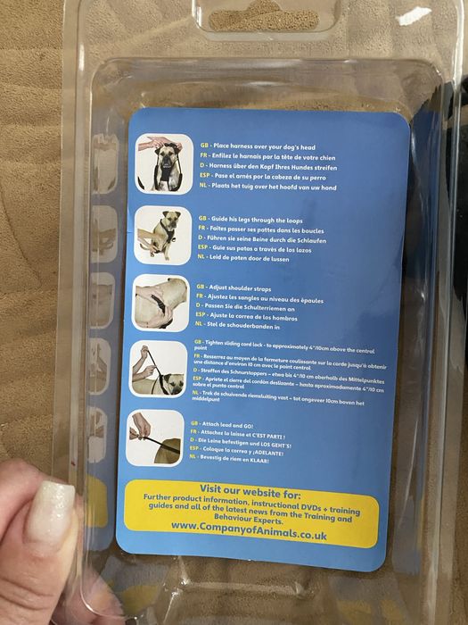 Шлія  собаки або кота