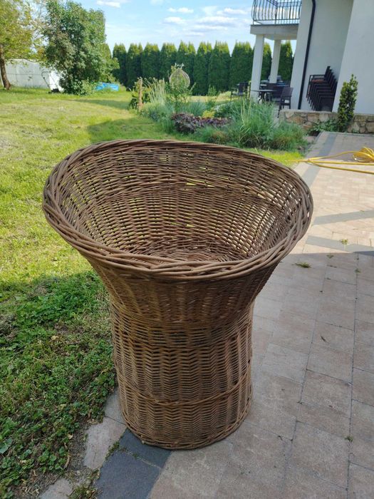 Witryna cukiernicza