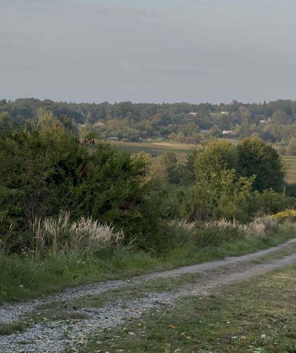 Продається земельна ділянка поблизу Трускавця з видом на ліс