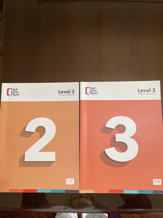 Vendo livros de WSE level 2 e3