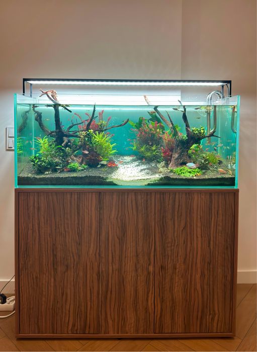 Aquário plantado 250L completo