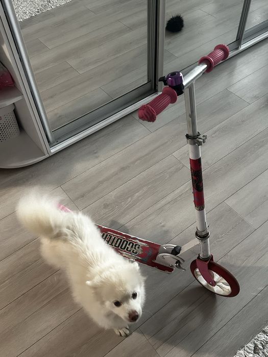 Самокат дитячий / підлітковий від 5-ти років.