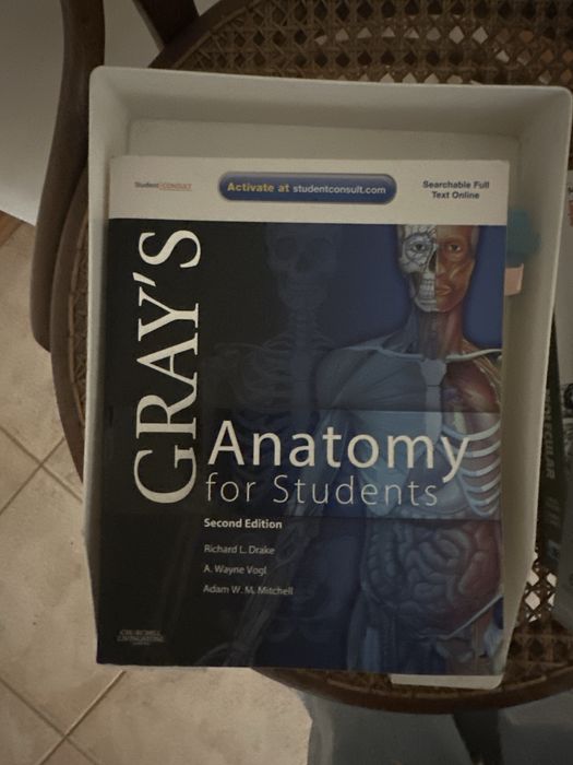 Grays anatomy second edition