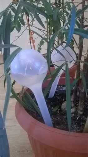 2 шт- Автополив для квітів, рослин, орхідеї "Лілія" -  2 шт по 0.25 л