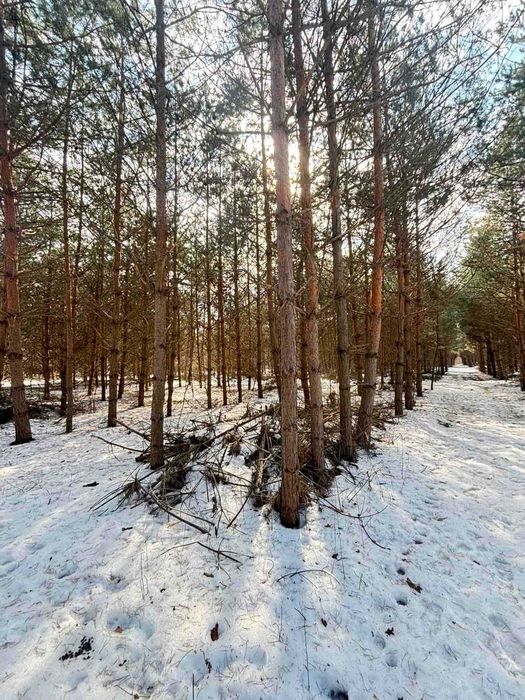 Продаж земельної ділянки площею 4 гектари в Демидівці