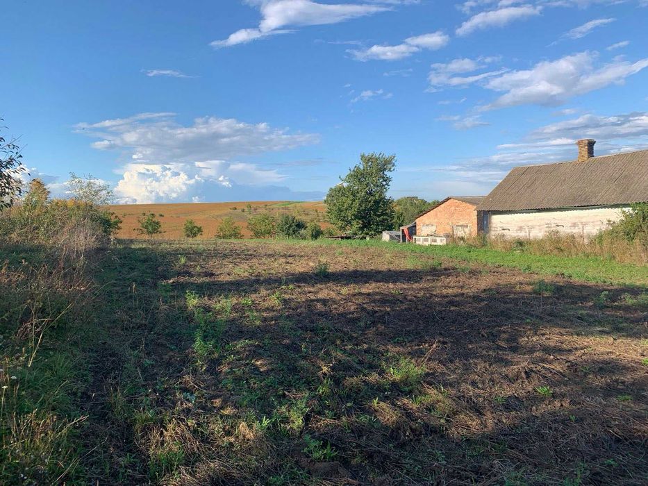 Продам ділянку 25 сотих зі старим будинком, с. Ставки