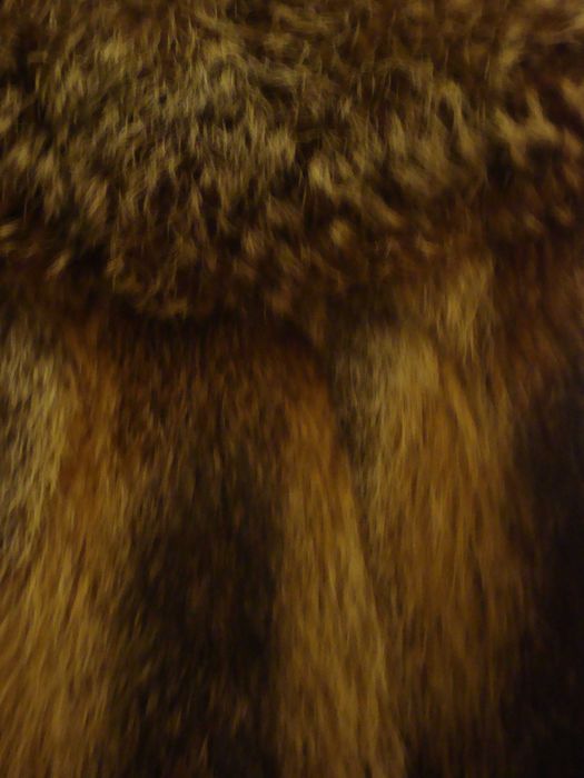 Casaco de peles verdadeiras de raposa em óptimo impecável .