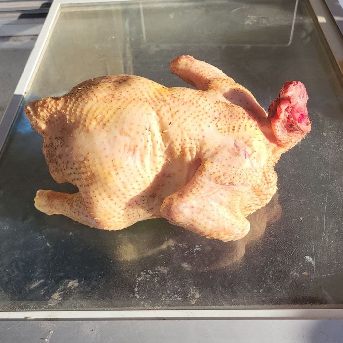 Продам домашнього бройлера