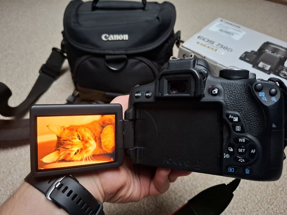 Canon EOS 750d + 18-55 mm + 50 mm + pokrowiec i karty pamięci