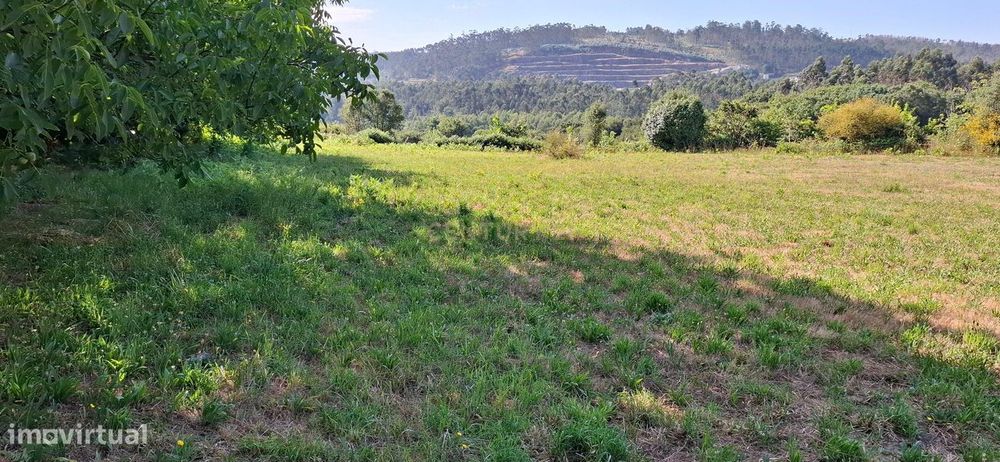 Terreno urbano para construção em Monte Córdova, Santo Tirso