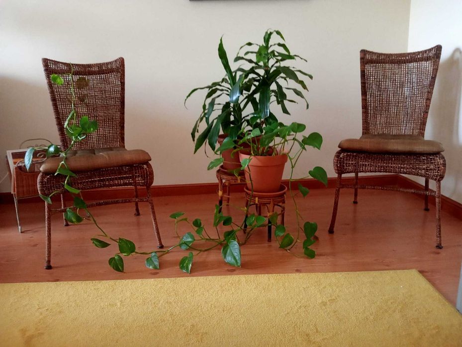 Cadeira Rattan Sala Tecido Castanho Un