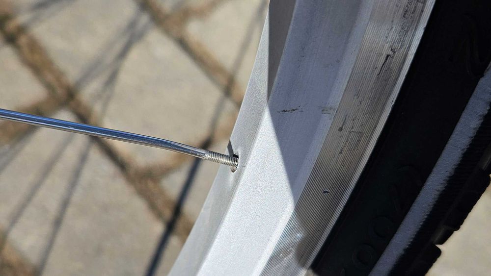 Rower Kross Siberian