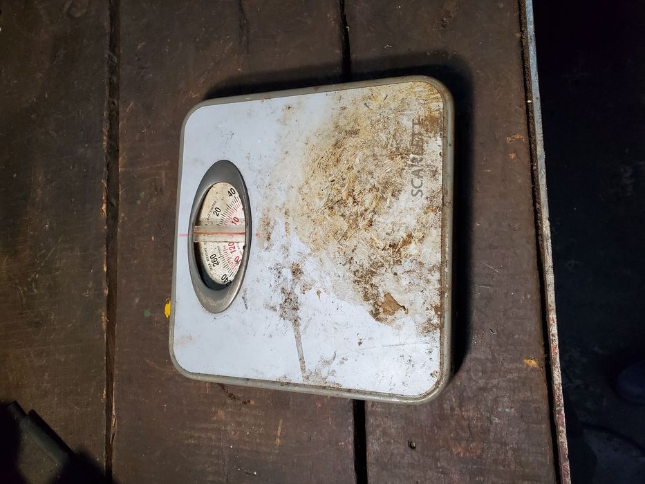 Продам Напольные весы Scarlett SC-210 Оригинал