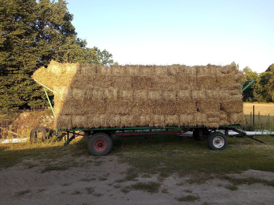 Słoma jęczmienna ,żytnia,pszenżytnia w kostkach.