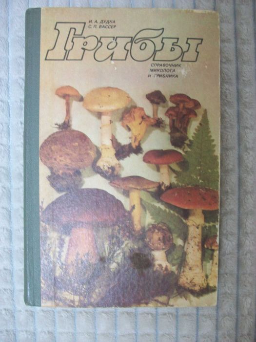 Дудка, Вассер "Грибы"
