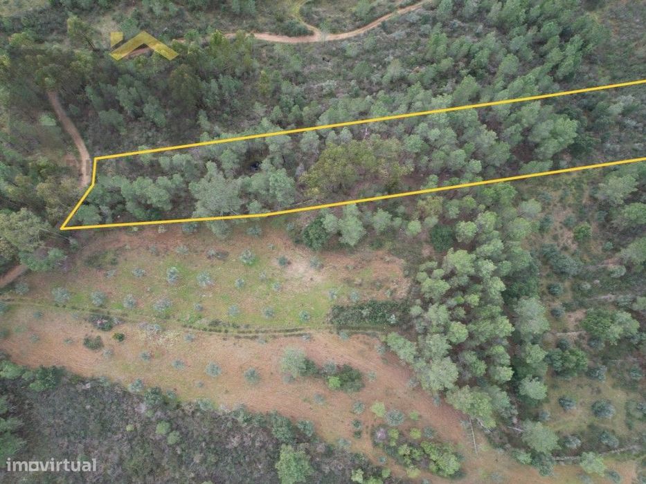 Terreno rústico com 4040m2 para venda no Freixial do Campo!