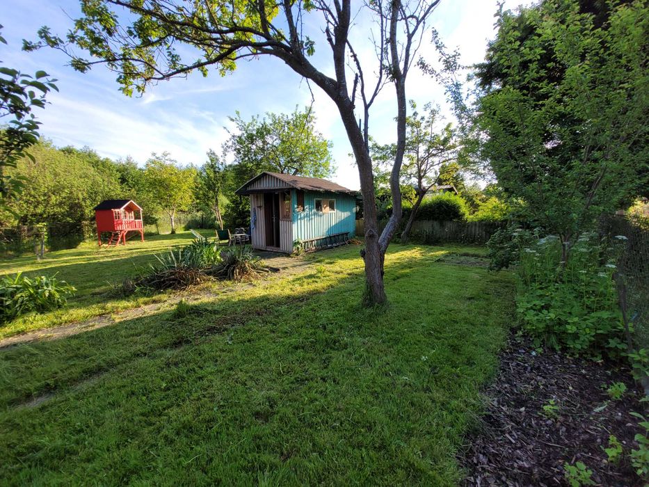 Działka ROD Kajki Olsztyn 355 m² – przyjemna - Widok 5