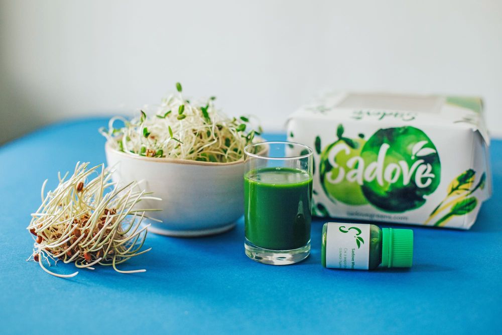 Лікувальний сік з Броколі, паростки БОКОЛІ, пророщене насіння та зерно
