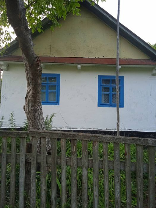 Будинок садиба біля лісу