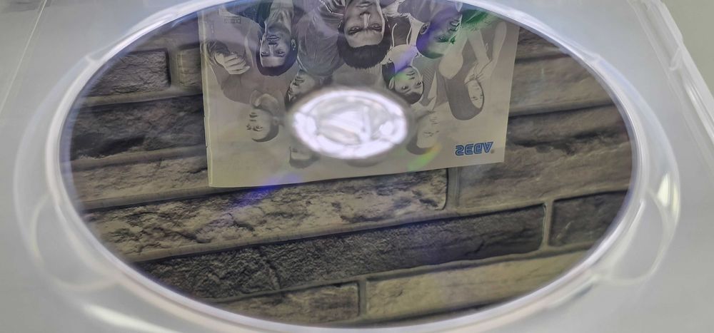 Yakuza 5 Ryu ga Gotoku 5: Yume, Kanaeshi Mono