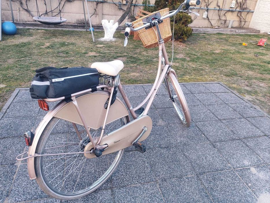 Rower Betavus Old Dutch