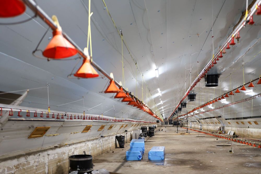 Błękitne Panele Izolacyjne Podbitka Styrodur XPS AGRO 4,5,6,8,10,12 cm