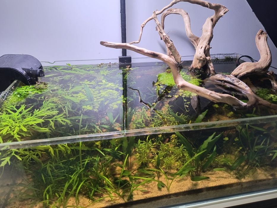 Akwarium69x39x20