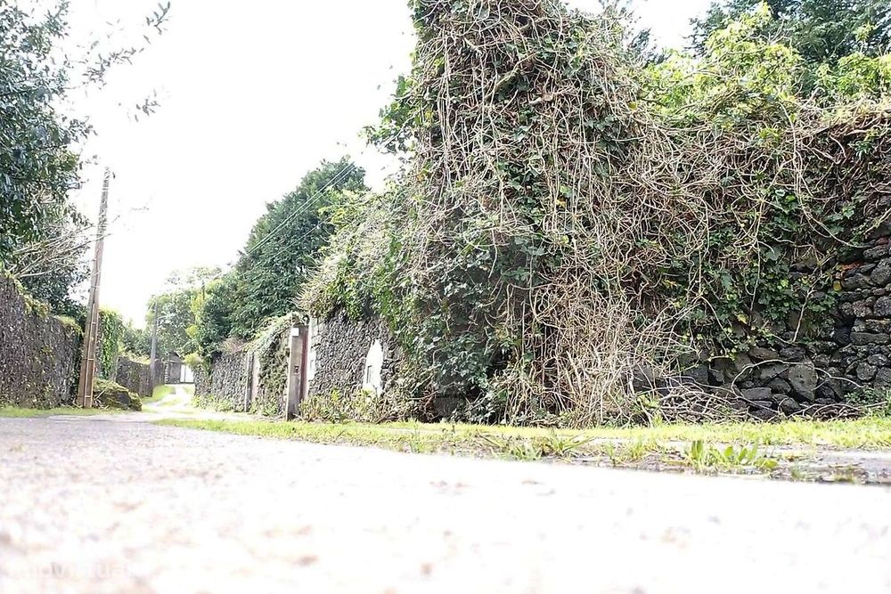 Terreno  para venda