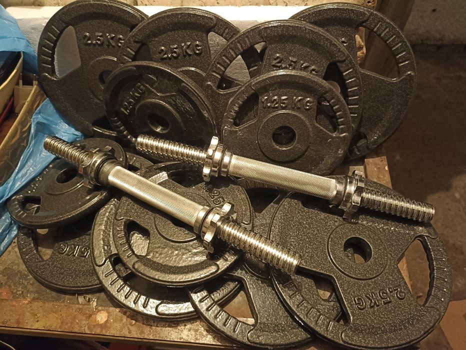 Hantle żeliwne 2x14.5 kg