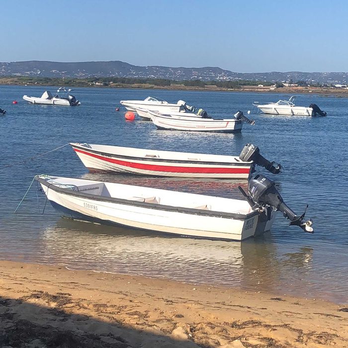 Barco Argos 410p
