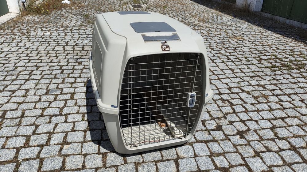 Transportadora de cães para venda