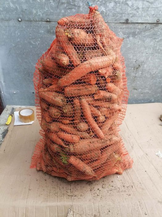 Marchew paszowa 25 kilo prosto z gospodarstwa od rolnika wysyłka paczk