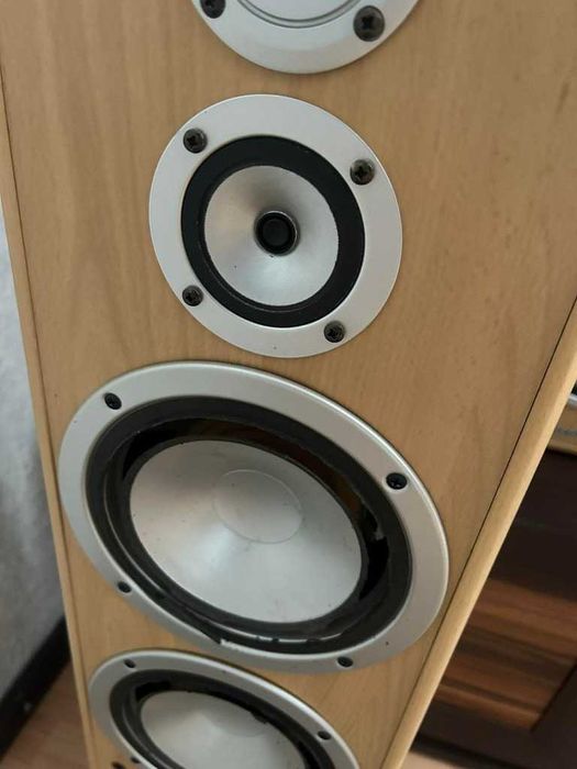 Tonsil Feniks Kino domowe