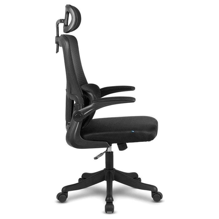 Cadeira de Escritório Ergonómica Offy Lyma Preta