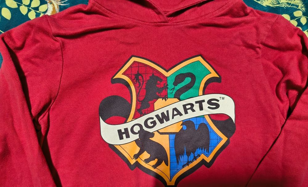 Bluza Hogwarts Harry Potter Wizarding roz. 158-164