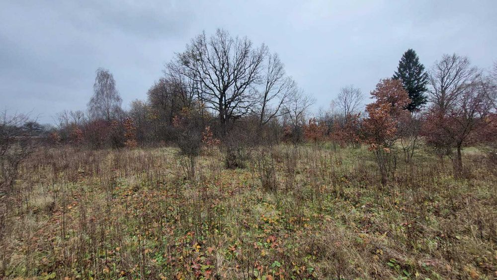 Продаж земельної ділянки в с.Дроговиж, Миколаївський район.