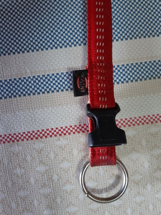 Vendo Coleira de Cão
