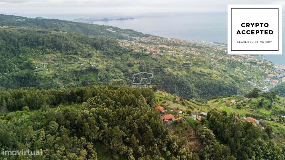 Terreno - Sta Cruz