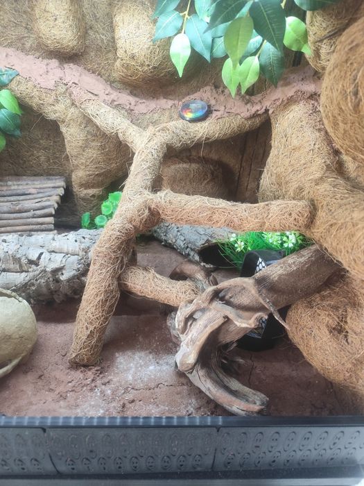 Sprzedam terrarium z całym wyposażeniem