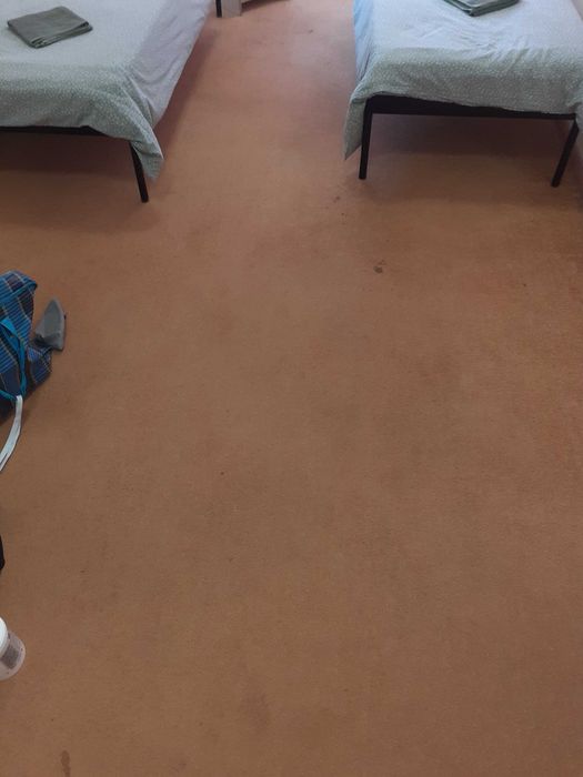 Клінінг, прибирання, Чистка коврів, матрасів, м'яких меблів