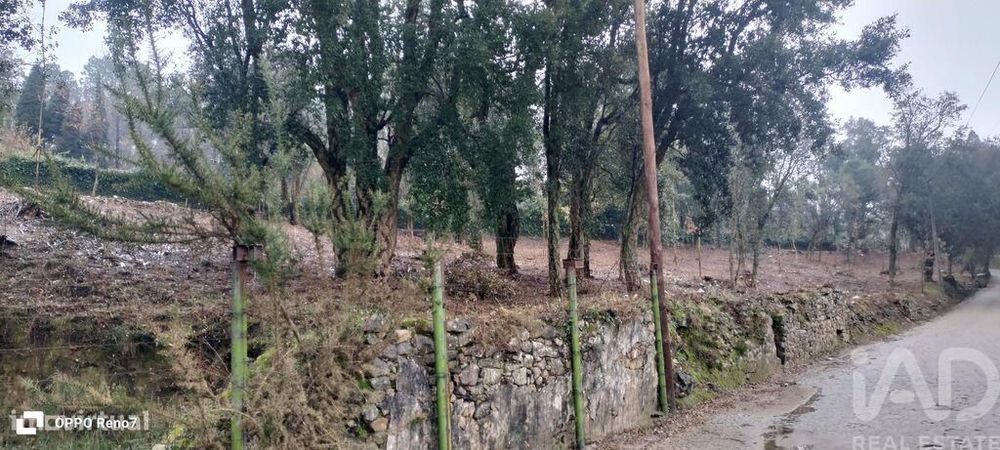 Terreno em Fornelo e Vairão
