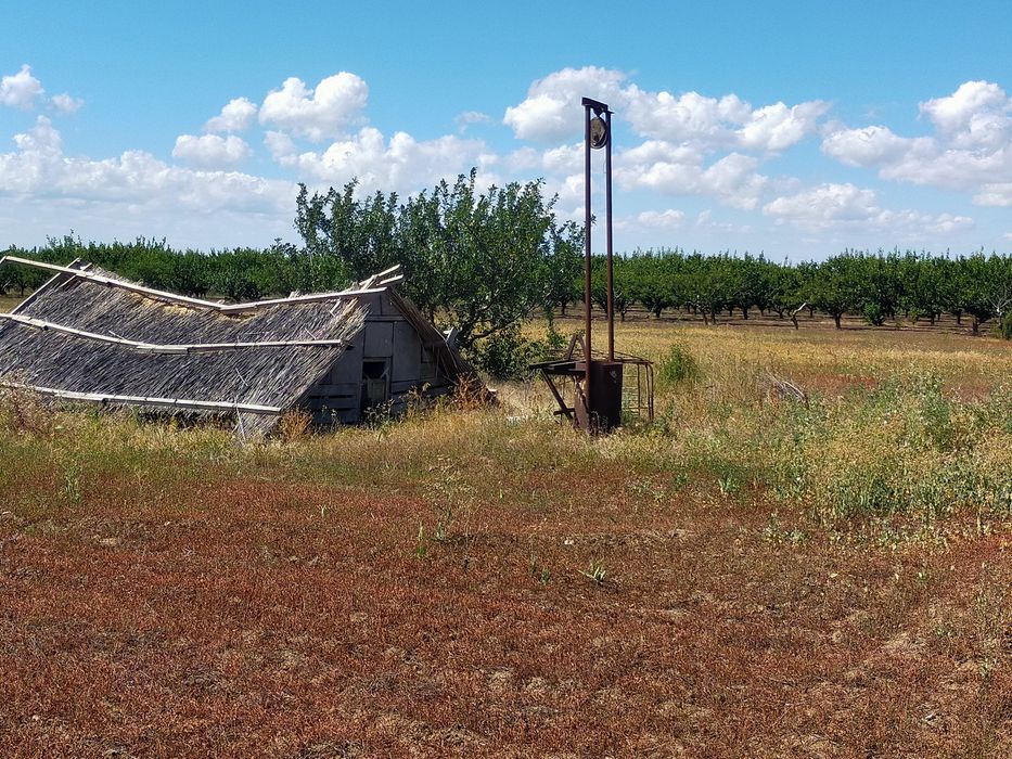 Продам сад с. Троицкое Беляевского р-на,Одесской обл.