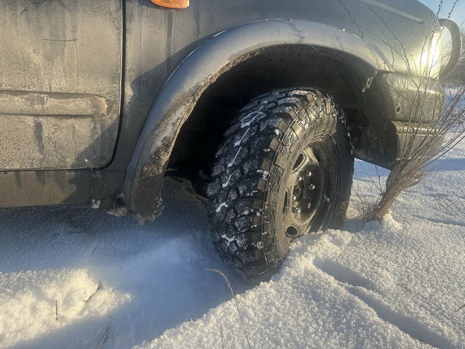 Продам Бойового коня