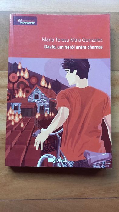 Livros Maria Teresa Maia Gonzalez - Profissão Adolescente